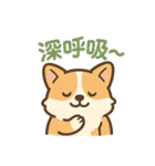 ころころコーギースタンプ（個別スタンプ：36）
