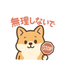 ころころコーギースタンプ（個別スタンプ：37）