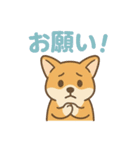 ころころコーギースタンプ（個別スタンプ：38）