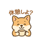 ころころコーギースタンプ（個別スタンプ：40）