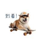 リアクション実写柴犬【連絡用・日常会話】（個別スタンプ：14）