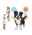 ボーダー・コリーのやさしい敬語スタンプ（個別スタンプ：1）