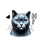 猫(ロシアンブルー)の可愛い英語スタンプ（個別スタンプ：1）