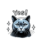 猫(ロシアンブルー)の可愛い英語スタンプ（個別スタンプ：12）