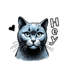 猫(ロシアンブルー)の可愛い英語スタンプ（個別スタンプ：17）
