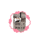 レオ 動くスタンプ（個別スタンプ：2）