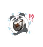 レオ 動くスタンプ（個別スタンプ：4）