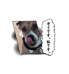 レオ 動くスタンプ（個別スタンプ：8）