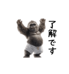 短パンゴリラが踊る！動く！（個別スタンプ：1）