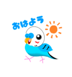 セキセイインコのマイちゃん（個別スタンプ：1）