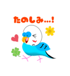 セキセイインコのマイちゃん（個別スタンプ：6）