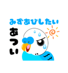 セキセイインコのマイちゃん（個別スタンプ：10）