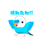 セキセイインコのマイちゃん（個別スタンプ：12）