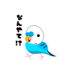 セキセイインコのマイちゃん（個別スタンプ：13）