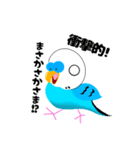 セキセイインコのマイちゃん（個別スタンプ：14）