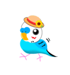 セキセイインコのマイちゃん（個別スタンプ：22）