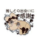 PENOちゃん推し活始めました♡黒色（個別スタンプ：33）