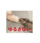 うちのばむしゅた（個別スタンプ：8）