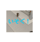 うちのばむしゅた（個別スタンプ：10）
