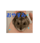 うちのばむしゅた（個別スタンプ：11）