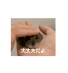 うちのばむしゅた（個別スタンプ：12）