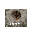 うちのばむしゅた（個別スタンプ：13）