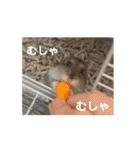 うちのばむしゅた（個別スタンプ：15）