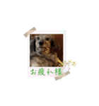 クガネスタンプ改（個別スタンプ：8）
