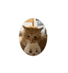 【うごくよ】まいけるかわいいスタンプ3（個別スタンプ：3）