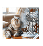 夏バテ♡猫にゃん（個別スタンプ：8）