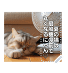 夏バテ♡猫にゃん（個別スタンプ：9）