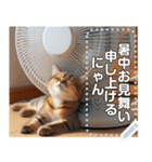 夏バテ♡猫にゃん（個別スタンプ：14）