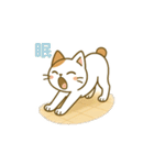 クリーニング店の休憩室住み保護猫レイン（個別スタンプ：1）