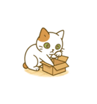 クリーニング店の休憩室住み保護猫レイン（個別スタンプ：5）
