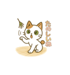クリーニング店の休憩室住み保護猫レイン（個別スタンプ：8）