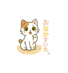 クリーニング店の休憩室住み保護猫レイン（個別スタンプ：12）