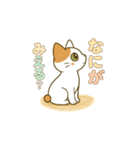 クリーニング店の休憩室住み保護猫レイン（個別スタンプ：13）
