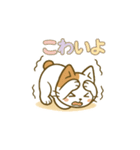 クリーニング店の休憩室住み保護猫レイン（個別スタンプ：17）