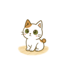 クリーニング店の休憩室住み保護猫レイン（個別スタンプ：20）
