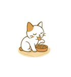 クリーニング店の休憩室住み保護猫レイン（個別スタンプ：22）