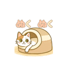 クリーニング店の休憩室住み保護猫レイン（個別スタンプ：24）