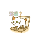 クリーニング店の休憩室住み保護猫レイン（個別スタンプ：27）