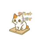 クリーニング店の休憩室住み保護猫レイン（個別スタンプ：28）