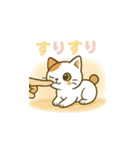 クリーニング店の休憩室住み保護猫レイン（個別スタンプ：29）