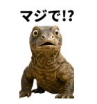BIG！コモドドラゴン【コモドオオトカゲ】（個別スタンプ：2）