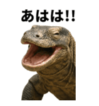 BIG！コモドドラゴン【コモドオオトカゲ】（個別スタンプ：4）