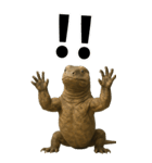 BIG！コモドドラゴン【コモドオオトカゲ】（個別スタンプ：14）