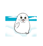 動くアザラシ君（個別スタンプ：7）