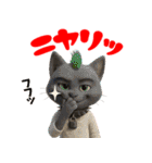 PUNKな猫たち vol.1（個別スタンプ：21）