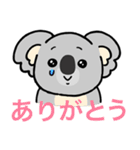 コアラのラアコ。（個別スタンプ：16）